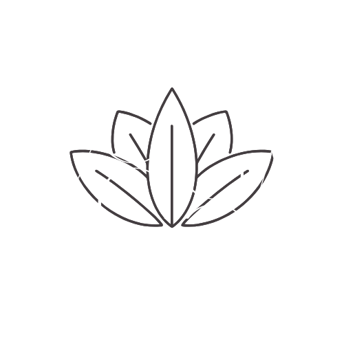 Yoga Todo Dia